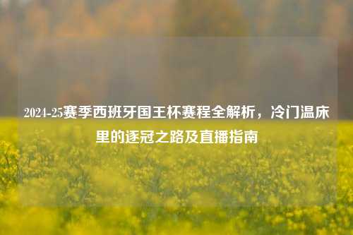 2024-25赛季西班牙国王杯赛程全解析，冷门温床里的逐冠之路及直播指南