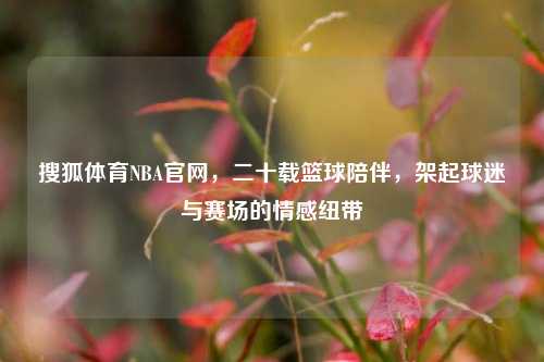 搜狐体育NBA官网,二十载篮球陪伴,架起球迷与赛场的情感纽带