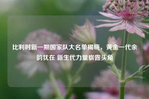 比利时新一期国家队大名单揭晓，黄金一代余韵犹在 新生代力量崭露头角