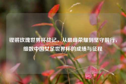 铿锵玫瑰世界杯战记，从巅峰荣耀到坚守前行，细数中国女足世界杯的成绩与征程
