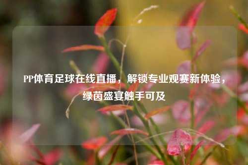 PP体育足球在线直播，解锁专业观赛新体验，绿茵盛宴触手可及