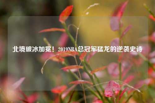北境破冰加冕!2019NBA总冠军猛龙的逆袭史诗