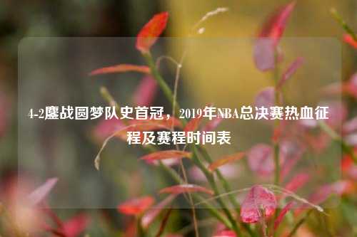 4-2鏖战圆梦队史首冠，2019年NBA总决赛热血征程及赛程时间表