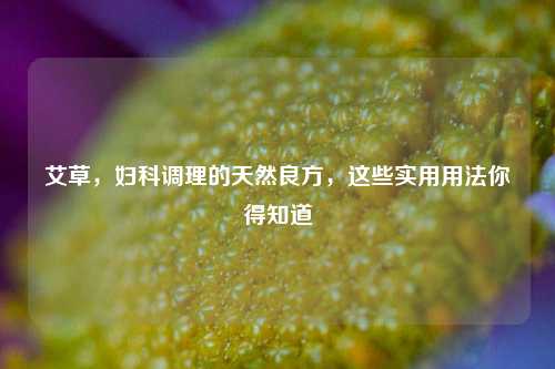 艾草，妇科调理的天然良方，这些实用用法你得知道