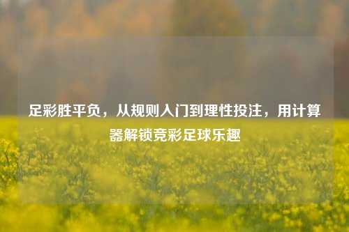 足彩胜平负,从规则入门到理性投注,用计算器解锁竞彩足球乐趣