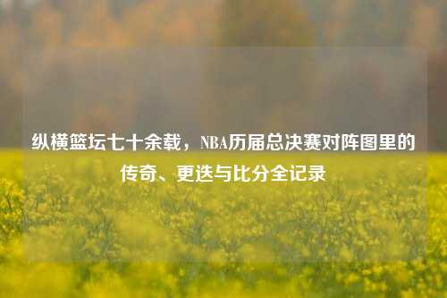 纵横篮坛七十余载，NBA历届总决赛对阵图里的传奇、更迭与比分全记录