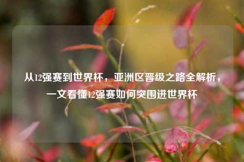从12强赛到世界杯,亚洲区晋级之路全解析,一文看懂12强赛如何突围进世界杯