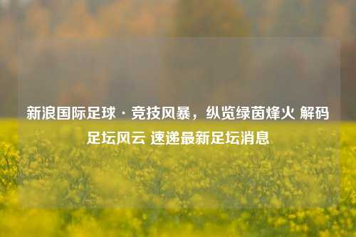 新浪国际足球·竞技风暴,纵览绿茵烽火 解码足坛风云 速递最新足坛消息