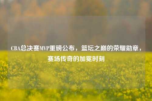 CBA总决赛MVP重磅公布,篮坛之巅的荣耀勋章,赛场传奇的加冕时刻