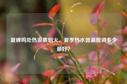 夏蝉鸣处热浪裹烟火，夏季热水器温度调多少最好？