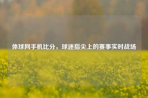 体球网手机比分,球迷指尖上的赛事实时战场