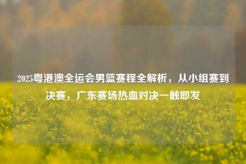 2025粤港澳全运会男篮赛程全解析，从小组赛到决赛，广东赛场热血对决一触即发