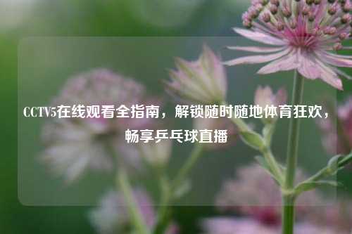 CCTV5在线观看全指南，解锁随时随地体育狂欢，畅享乒乓球直播