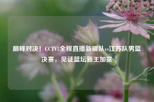 巅峰对决!CCTV5全程直播新疆队vs江苏队男篮决赛,见证篮坛新王加冕