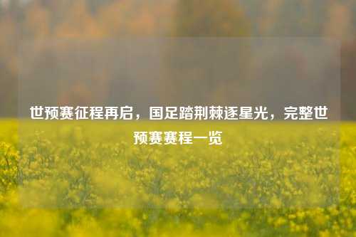 世预赛征程再启,国足踏荆棘逐星光,完整世预赛赛程一览