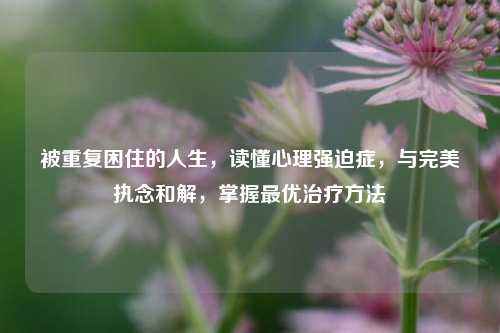 被重复困住的人生,读懂心理强迫症,与完美执念和解,掌握最优治疗方法