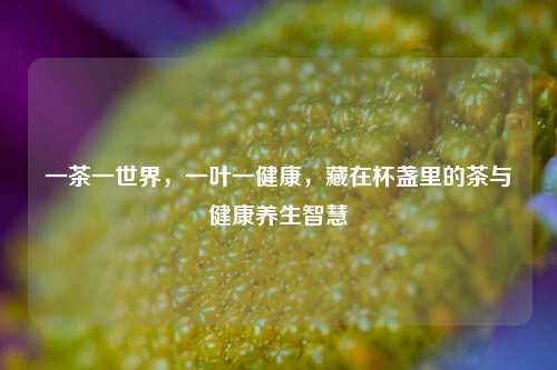 一茶一世界,一叶一健康,藏在杯盏里的茶与健康养生智慧