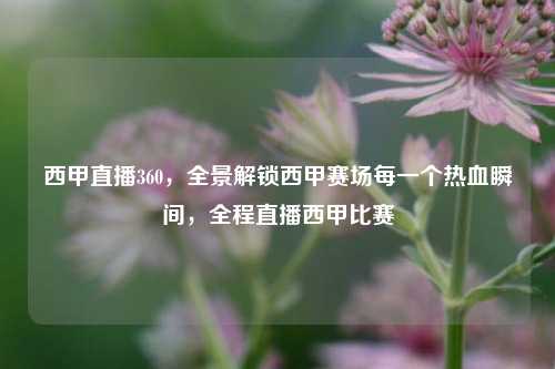 西甲直播360,全景解锁西甲赛场每一个热血瞬间,全程直播西甲比赛