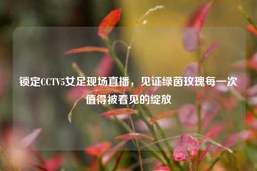 锁定CCTV5女足现场直播,见证绿茵玫瑰每一次值得被看见的绽放
