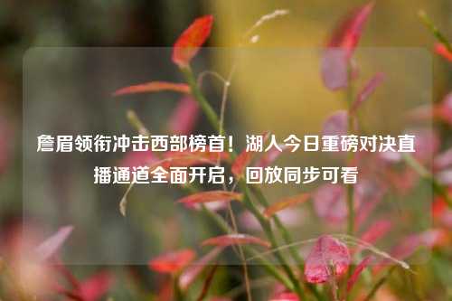 詹眉领衔冲击西部榜首！湖人今日重磅对决直播通道全面开启，回放同步可看