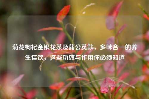 菊花枸杞金银花茶及蒲公英款,多味合一的养生佳饮,这些功效与作用你必须知道