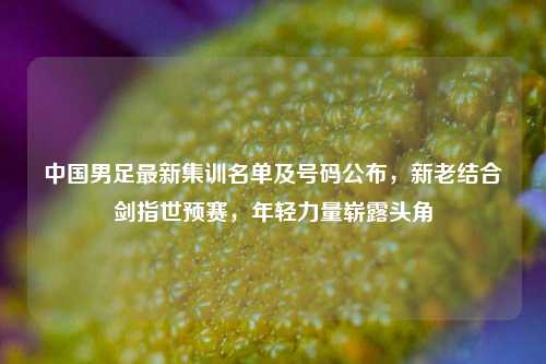 中国男足最新集训名单及号码公布，新老结合剑指世预赛，年轻力量崭露头角