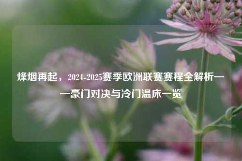 烽烟再起，2024-2025赛季欧洲联赛赛程全解析——豪门对决与冷门温床一览