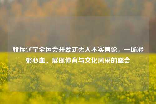 驳斥辽宁全运会开幕式丢人不实言论，一场凝聚心血、展现体育与文化风采的盛会
