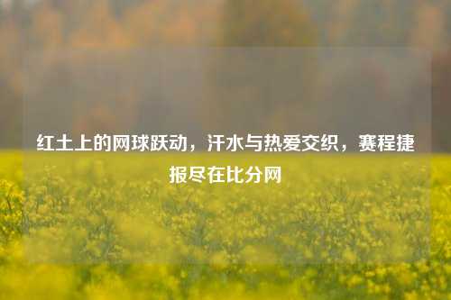 红土上的网球跃动,汗水与热爱交织,赛程捷报尽在比分网