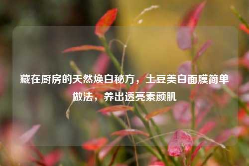 藏在厨房的天然焕白秘方,土豆美白面膜简单做法,养出透亮素颜肌