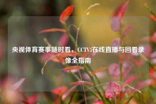 央视体育赛事随时看,CCTV5在线直播与回看录像全指南