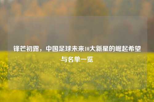 锋芒初露，中国足球未来10大新星的崛起希望与名单一览