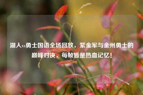 湖人vs勇士国语全场回放,紫金军与金州勇士的巅峰对决,每帧皆是热血记忆!