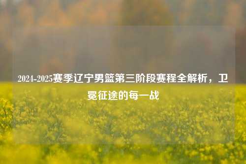 2024-2025赛季辽宁男篮第三阶段赛程全解析,卫冕征途的每一战