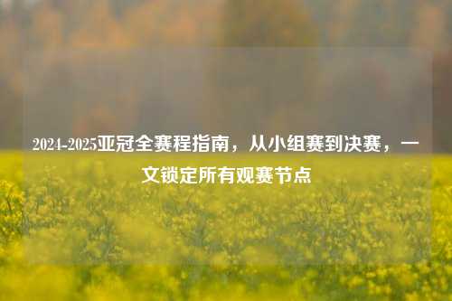 2024-2025亚冠全赛程指南,从小组赛到决赛,一文锁定所有观赛节点