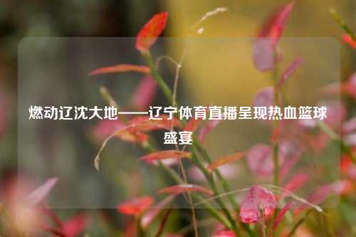 燃动辽沈大地——辽宁体育直播呈现热血篮球盛宴