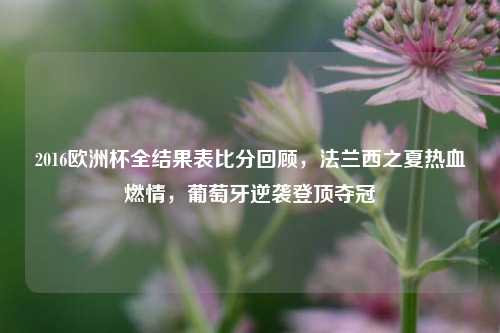 2016欧洲杯全结果表比分回顾,法兰西之夏热血燃情,葡萄牙逆袭登顶夺冠