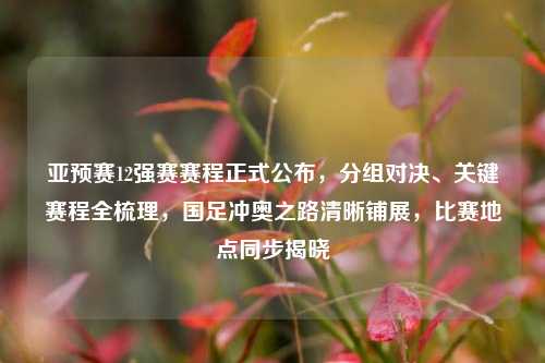 亚预赛12强赛赛程正式公布,分组对决、关键赛程全梳理,国足冲奥之路清晰铺展,比赛地点同步揭晓