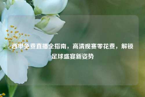 西甲免费直播全指南,高清观赛零花费,解锁足球盛宴新姿势