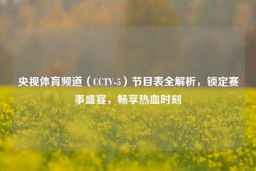 央视体育频道(CCTV-5)节目表全解析,锁定赛事盛宴,畅享热血时刻