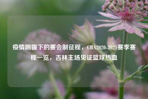 疫情阴霾下的赛会制征程，CBA2020-2021赛季赛程一览，吉林主场见证篮球热血