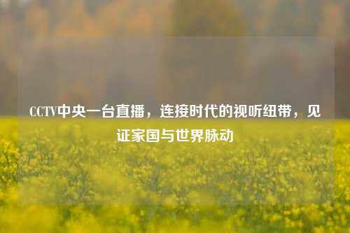 CCTV中央一台直播,连接时代的视听纽带,见证家国与世界脉动