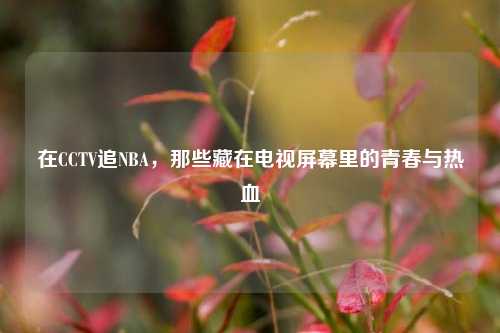 在CCTV追NBA,那些藏在电视屏幕里的青春与热血