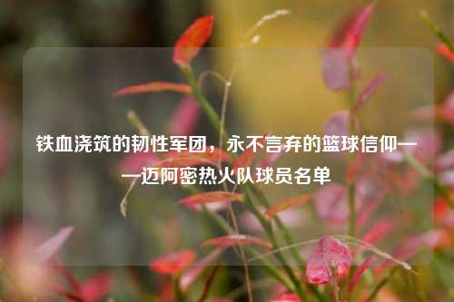 铁血浇筑的韧性军团,永不言弃的篮球信仰——迈阿密热火队球员名单