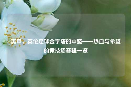 英甲,英伦足球金字塔的中坚——热血与希望的竞技场赛程一览