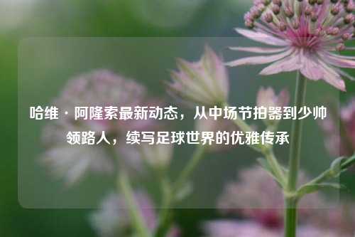 哈维·阿隆索最新动态,从中场节拍器到少帅领路人,续写足球世界的优雅传承