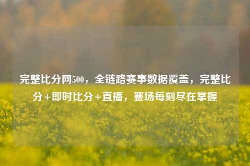 完整比分网500,全链路赛事数据覆盖,完整比分+即时比分+直播,赛场每刻尽在掌握