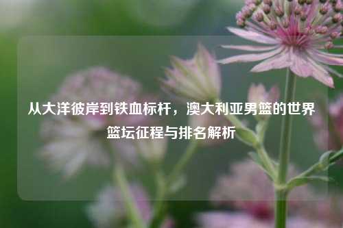 从大洋彼岸到铁血标杆,澳大利亚男篮的世界篮坛征程与排名解析