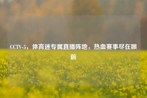 CCTV-5，体育迷专属直播阵地，热血赛事尽在眼前