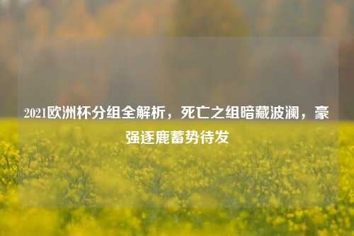 2021欧洲杯分组全解析,死亡之组暗藏波澜,豪强逐鹿蓄势待发